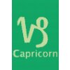 M11_Goblenuri_cu_diamante_-_Semn_zodiacal_–_Capricorn