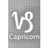 M11_Pictură_cu_puncte_-_Semn_zodiacal_–_Capricorn