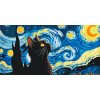 M11_Picturi_pe_numere_-_Vincent_Van_Gogh_-_Noapte_înstelată_si_pisica