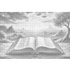 M11_Pictură_cu_puncte_-_Biblia_la_apusul_soarelui