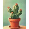 M11_Goblenuri_cu_diamante_-_Cactus_într-un_ghiveci