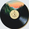 M11_Picturi_pe_numere_-_Vinil_1