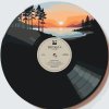 M11_Picturi_pe_numere_-_Vinil_2
