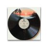 M2_Goblenuri_cu_diamante_-_Vinil_2
