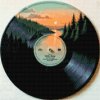 M11_Goblenuri_cu_diamante_-_Vinil_3