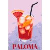 M11_Picturi_pe_numere_-_Paloma