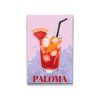 M2_Picturi_pe_numere_-_Paloma