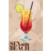 M11_Picturi_pe_numere_-_Sex_on_the_beach