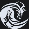 M11_Picturi_pe_numere_-_Dragon_yin_și_yang
