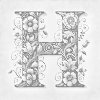 M11_Pictură_cu_puncte_-_Litera_H_-_Model_floral