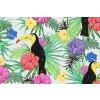 Pictură pe numere - Tucan tropical