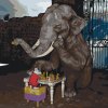 Pictură pe numere - Elefant și șoricel jucând șah