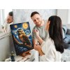 Pictura_pe_numere_Vincent_Van_Gogh_-_Noapte_instelata_si_bufnita_M9