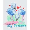 Pictură pe numere - You are my sunshine