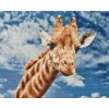 Goblen cu diamante - Girafă curioasă