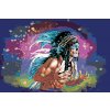 Pictură pe numere - Amerindian în culori