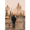 Pictură pe numere - Praga - Podul Carol