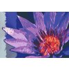 Goblen cu diamante - Floare pictată