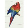 Goblen cu diamante - Papagal vintage 2