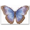 Goblen cu diamante - Aripi de fluture