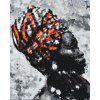 Pictură pe numere - Femeie africană