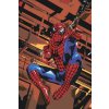Pictură pe numere - Spiderman