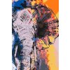 Pictură pe numere - Elefant african