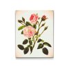 Goblen cu diamante - Trandafiri sălbatici roz