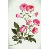 Goblen cu diamante - Flori vintage 2