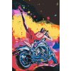 Pictură pe numere - Femeie în roșu pe motocicletă
