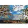 Pictură pe numere - Lacul Chiemsee