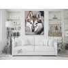 Picturi pe numere - Fluture cu Husky