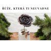 Růže, která ti neuvadne – ručně tvarovaný kov
