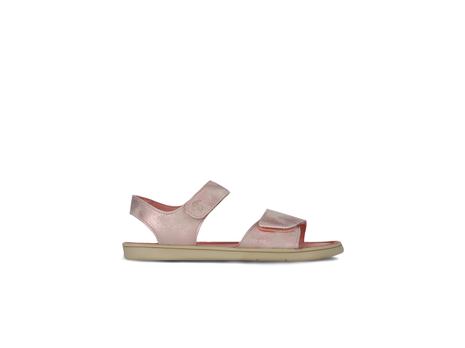miami coral (1)