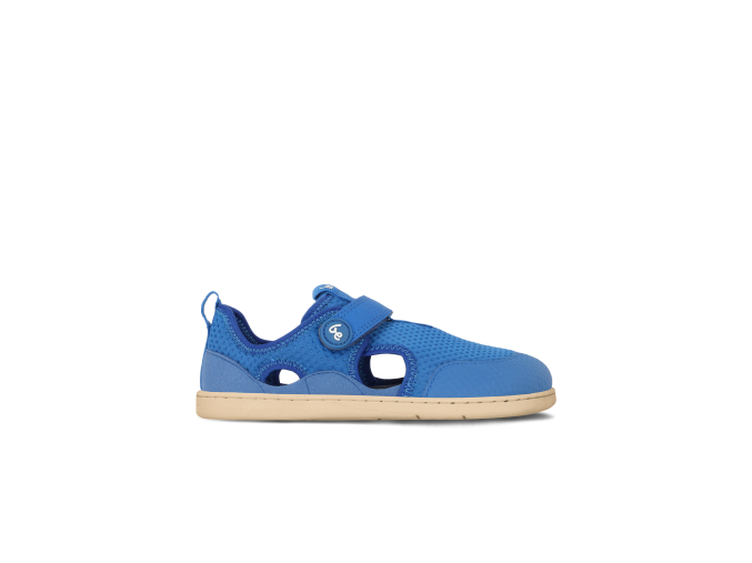 zest blue (1)