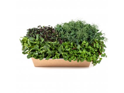 Pidi MIX (Ř,H,S) 150g