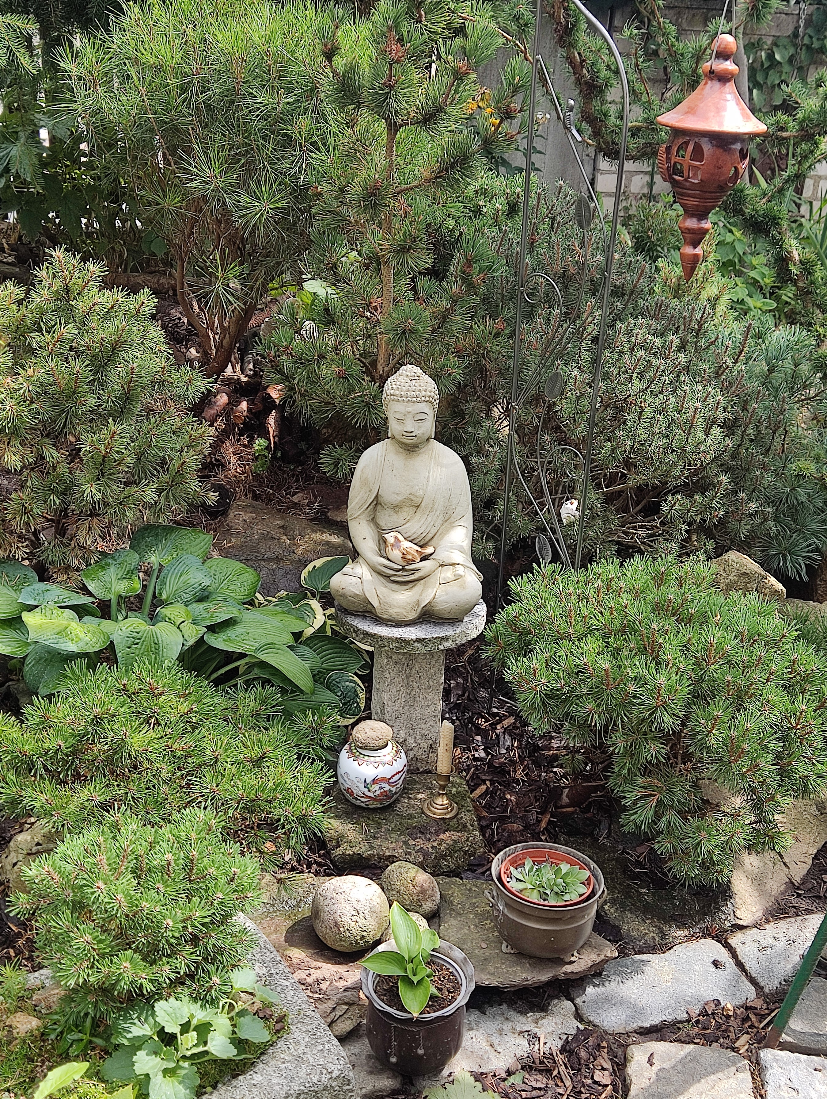 budha