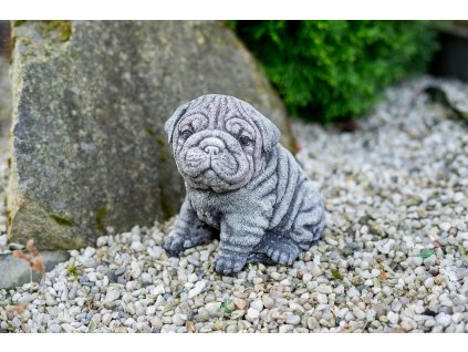 Zahradní betonová dekorace štěně Shar-Pei
