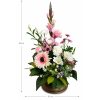 ruzova gladiola vyska