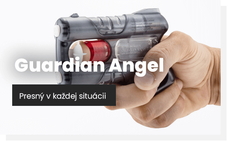 Guardian Angel