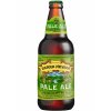 Sierra Nevada Pale Ale 0 33 l Bierflasche kaufen