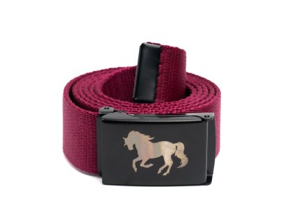 pigeon 2.7.2025 web 4