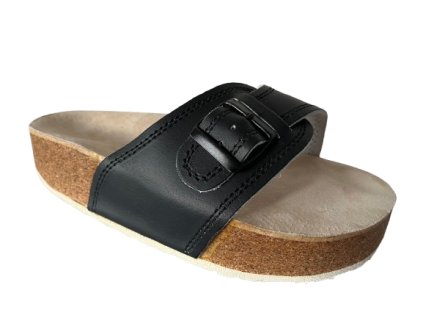 2006 CA 1 removebg preview