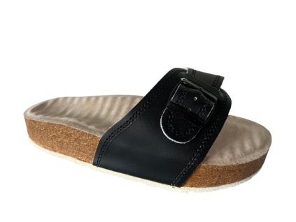 2003 CA 1 removebg preview