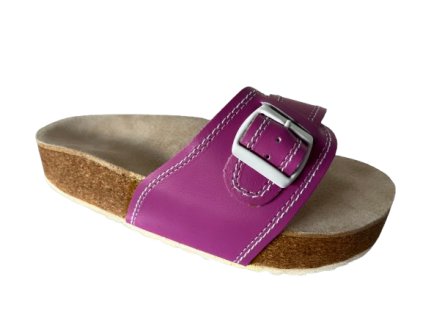 2006 FA 1 removebg preview