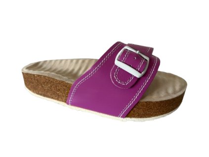 2003 FA 1 removebg preview