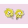 Sponky žlté s jednorožcom