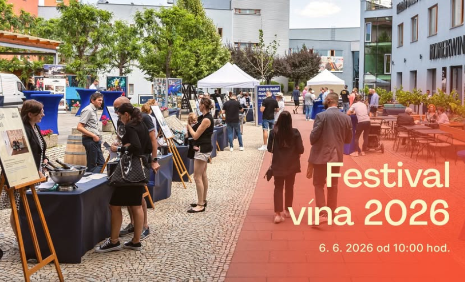 festival vina