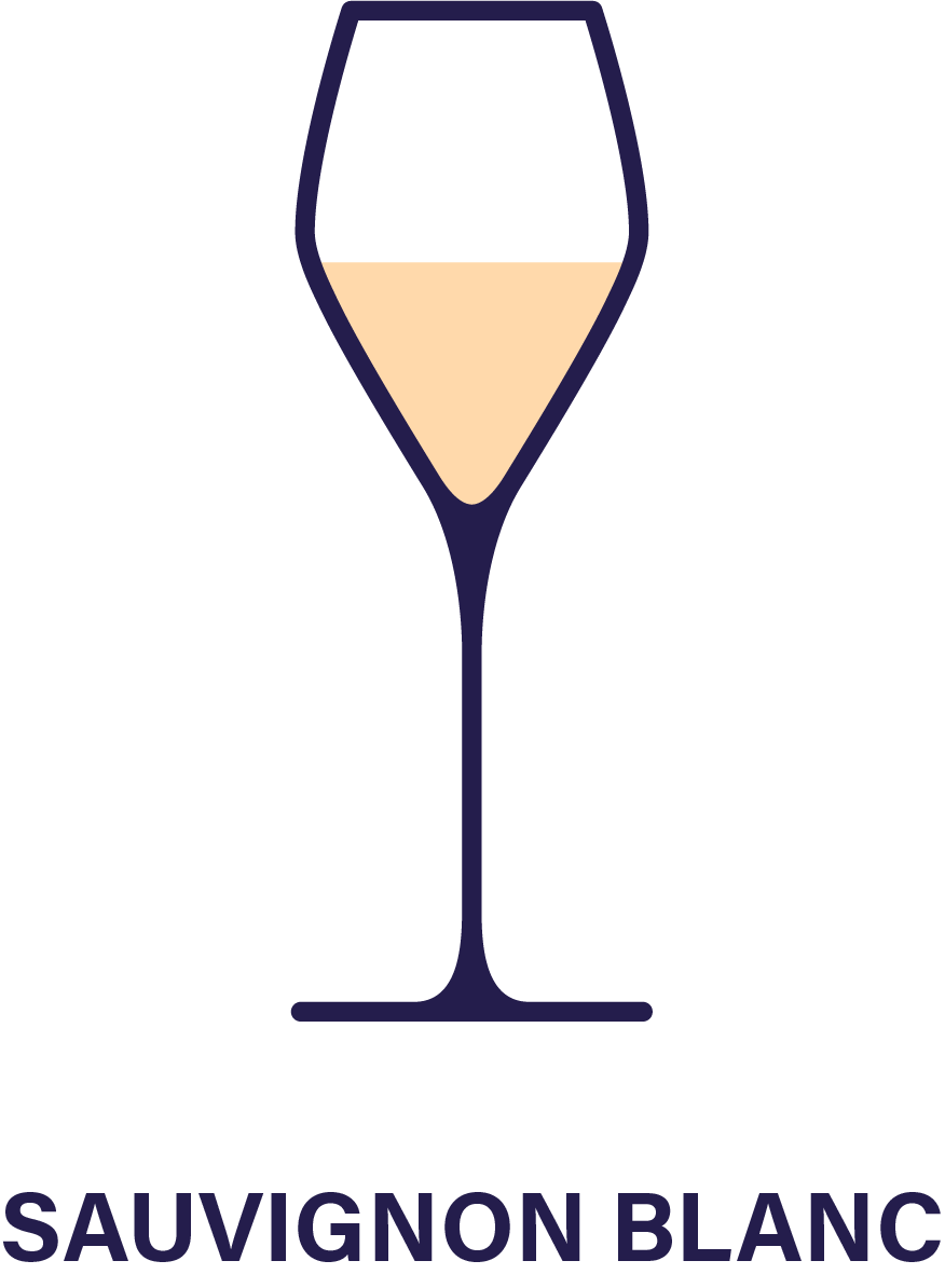Sklenice_Sauvignon-Blanc@3x