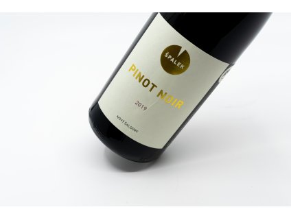 KW Vina 02 2024 Varka04 0030 Pinot Noir, Špalek (4)